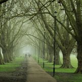 Cambridge