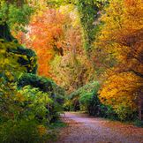 Tashkent Botanical Garden