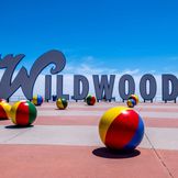 Wildwood