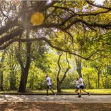 Brasília Parque da Cidade