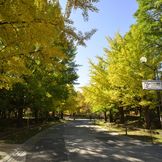 Sapporro City Nakajima Park