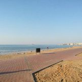 Muscat