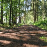 Suben Schärding