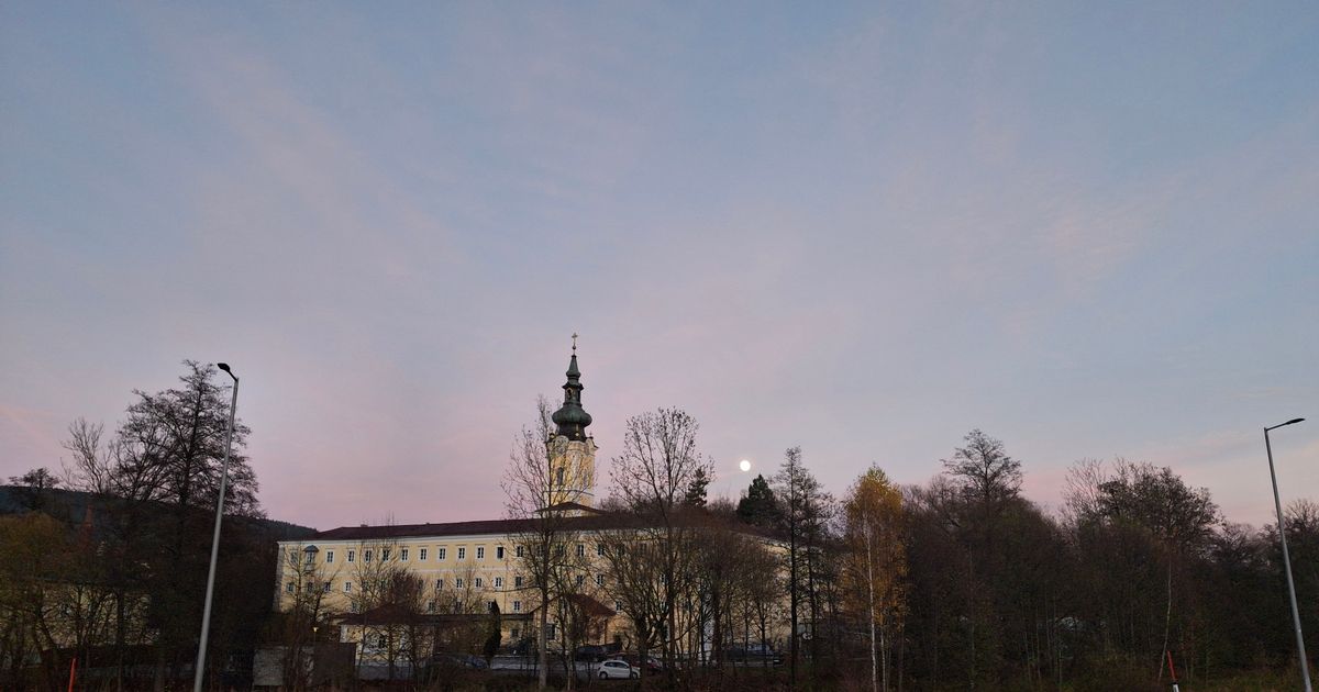 Wings for Life - Aigen-Schlägl
