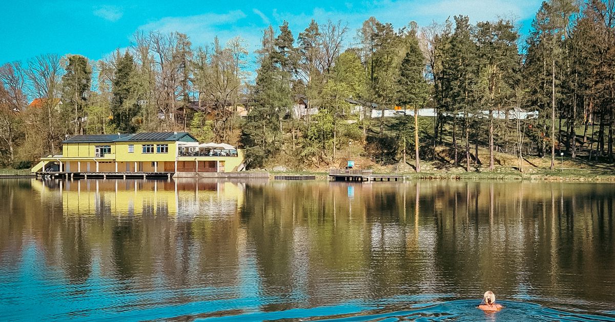 Wings for Life - Allentsteig