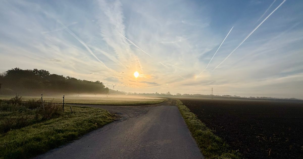 Wings for Life - Andlersdorf