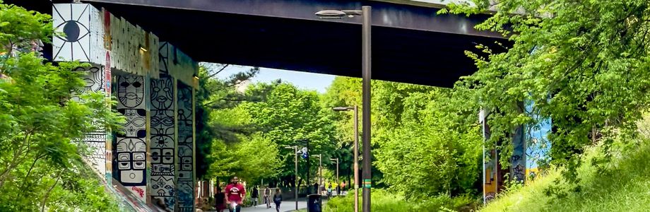 Atlanta East Beltline - 1