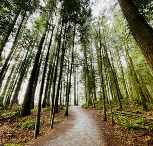 Bellingham Whatcom County - 2