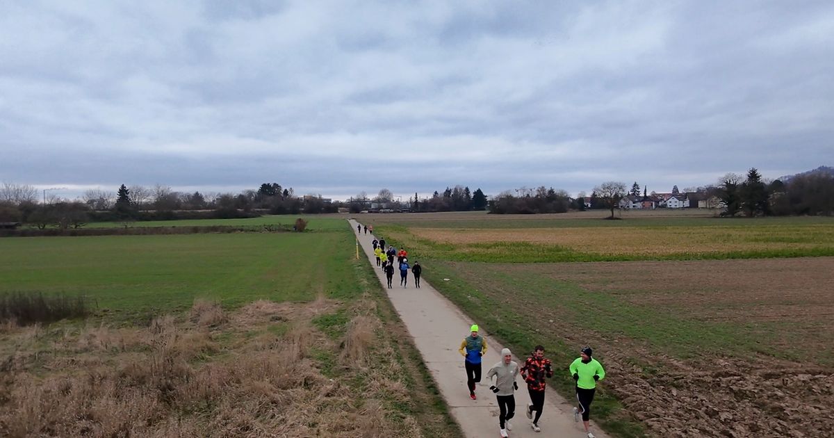 Wings for Life World Run Bensheim