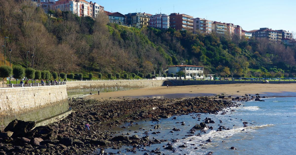 Wings for Life - Bilbao Getxo