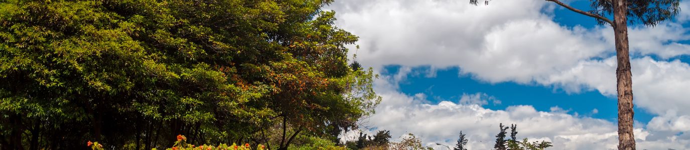 Bogotá