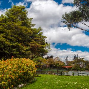 Bogotá