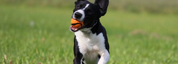 Braunau am Inn Laab - 1