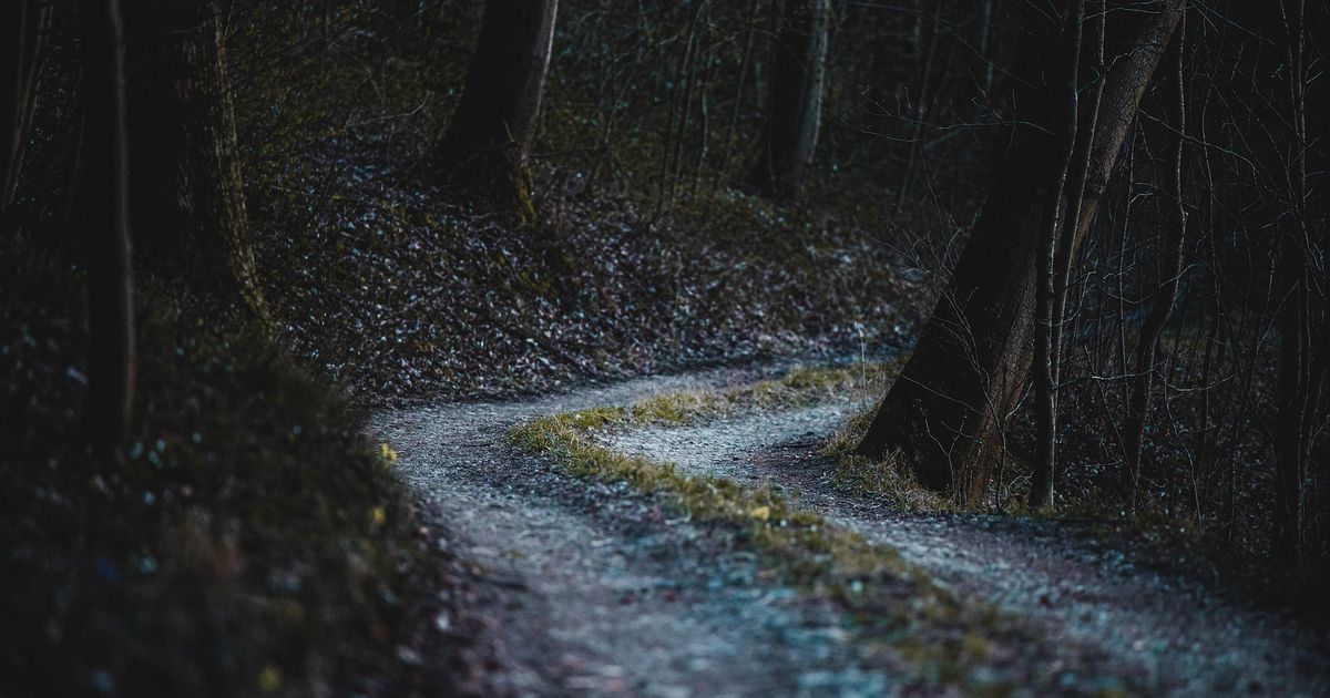 Wings for Life World Run Braunau am Inn