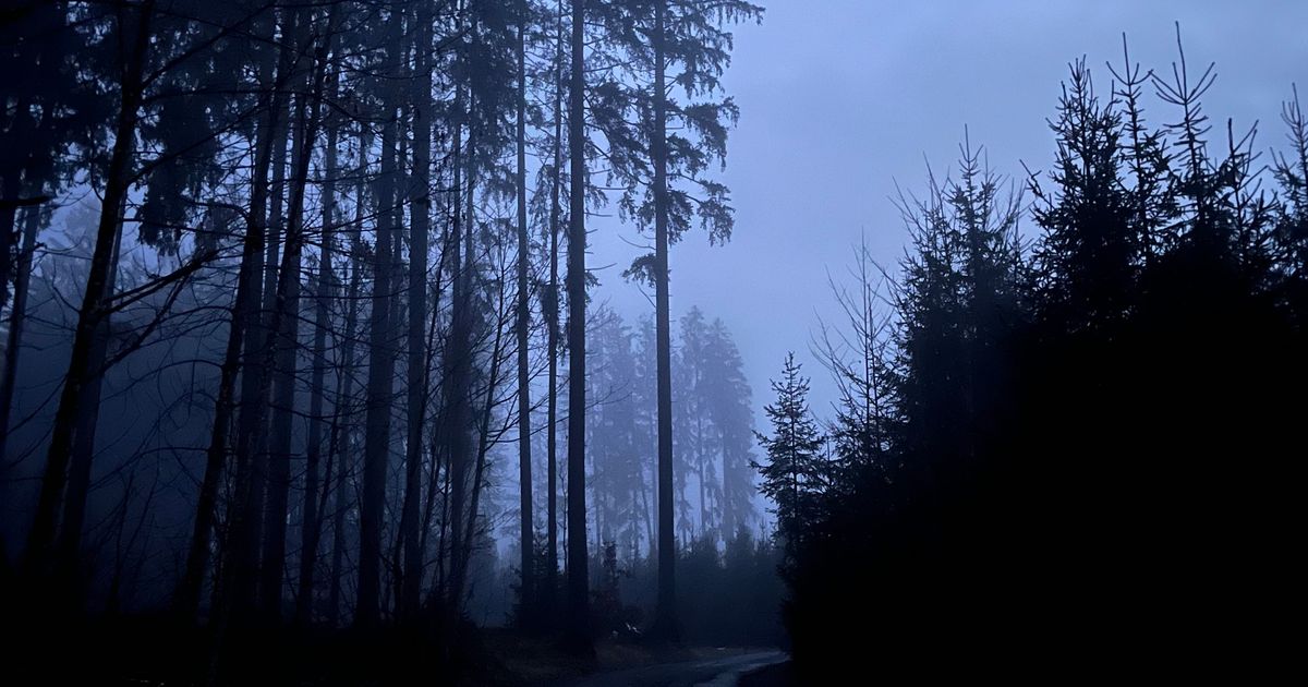 Wings for Life - Bsuch Bham Bsuch