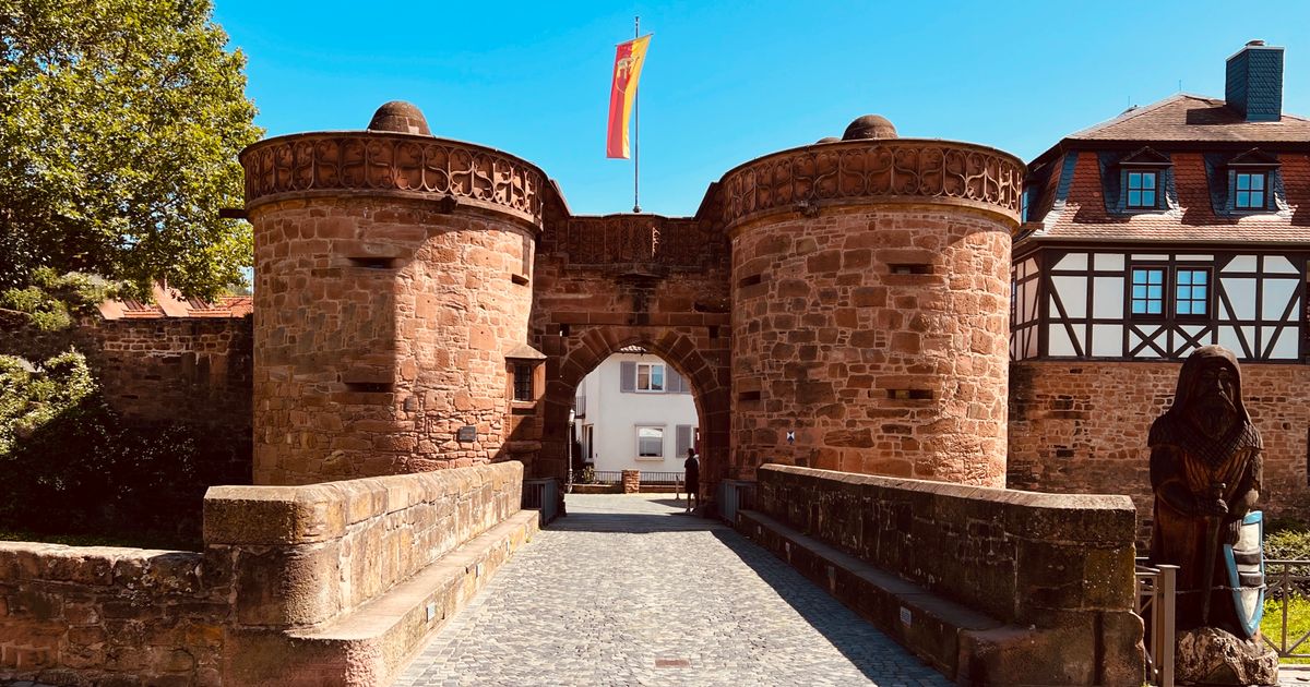 Wings for Life - Büdingen