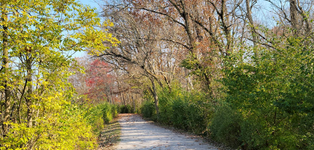 Columbus Antrim Park - 3