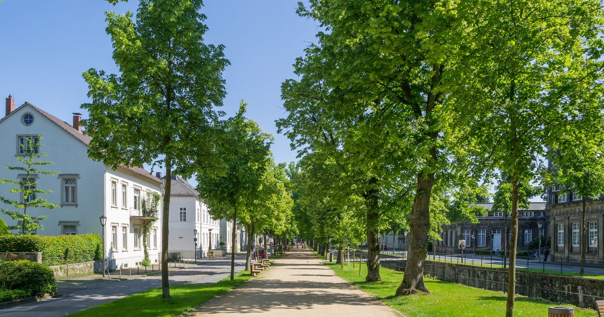 Wings for Life - Detmold