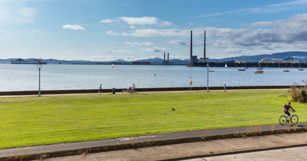 Wings for Life - Dublin