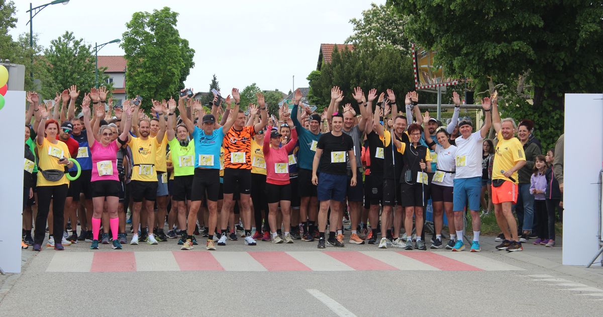 Wings for Life - Ernsthofen