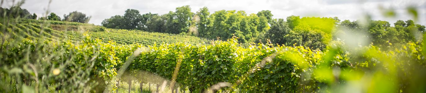 Feuersbrunn am Wagram