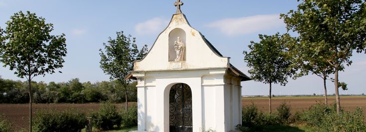 Frauenkirchen - 1