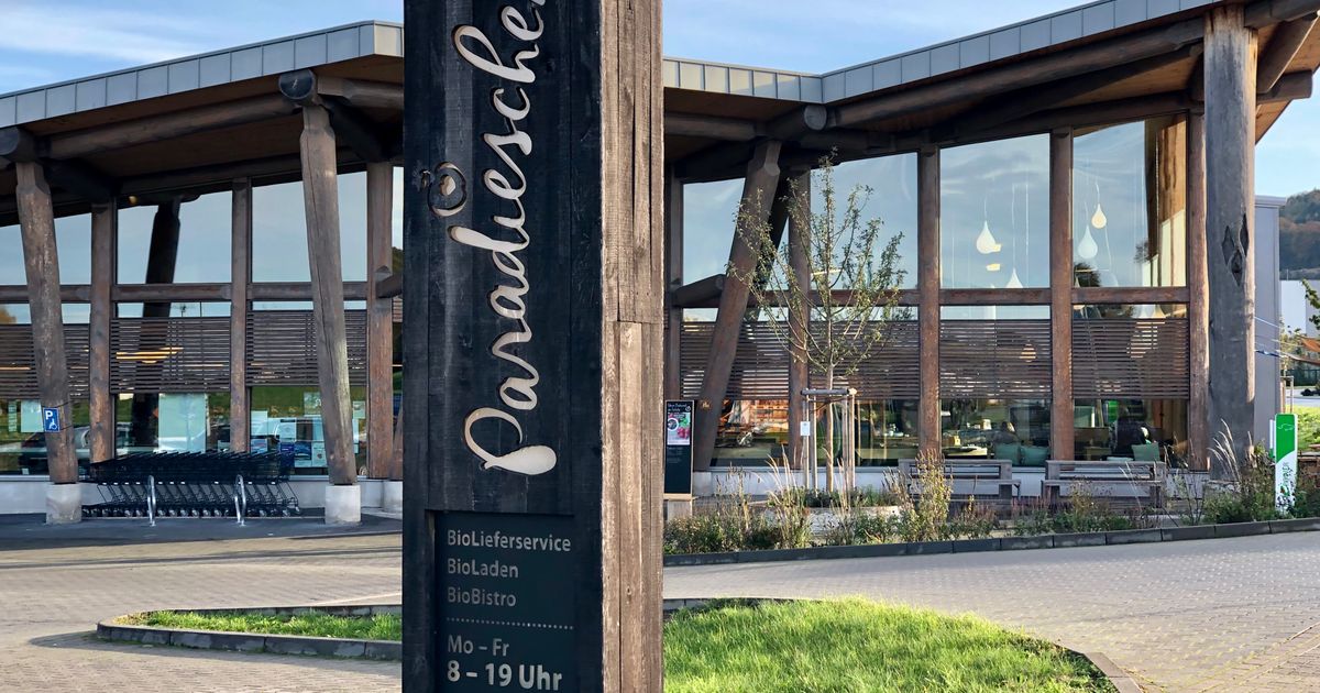 Wings for Life - Gelnhausen