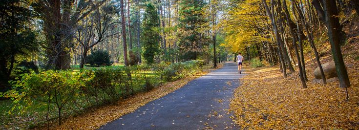 Gorlice Park Miejski - 1