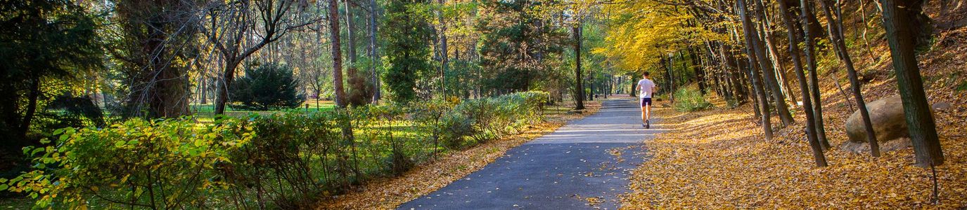 Gorlice Park Miejski