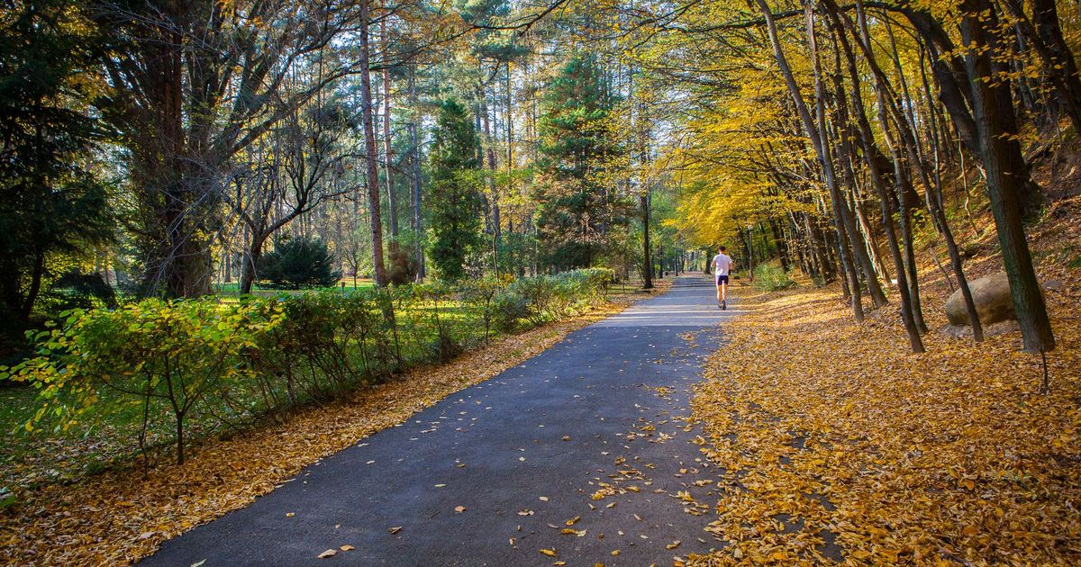 Wings for Life - Gorlice Park Miejski