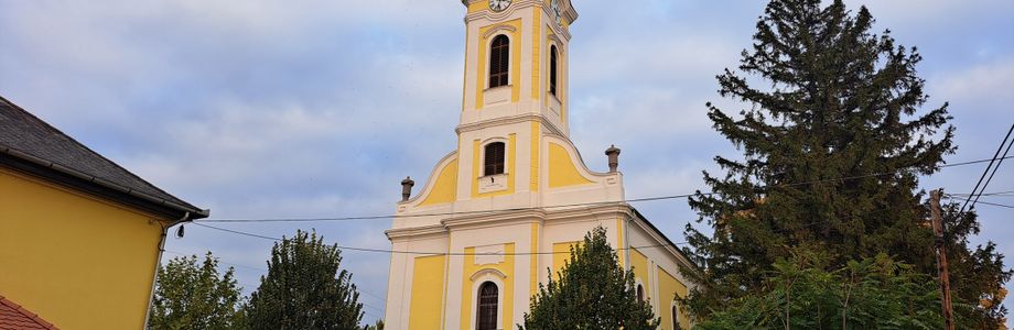 Gyöngyöshalász - 1