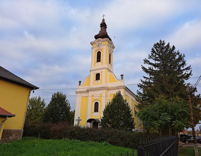 Gyöngyöshalász - 1