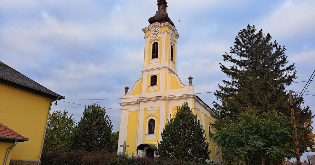 Wings for Life - Gyöngyöshalász