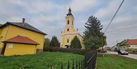 Gyöngyöshalász - 2