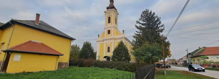 Gyöngyöshalász - 2