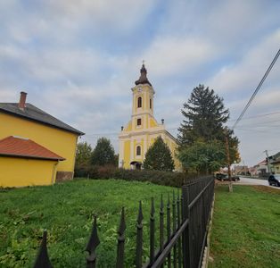 Gyöngyöshalász - 2