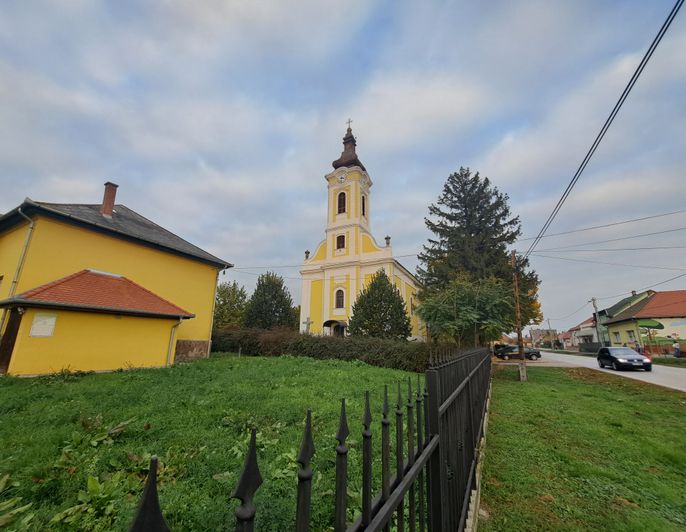 Gyöngyöshalász - 2