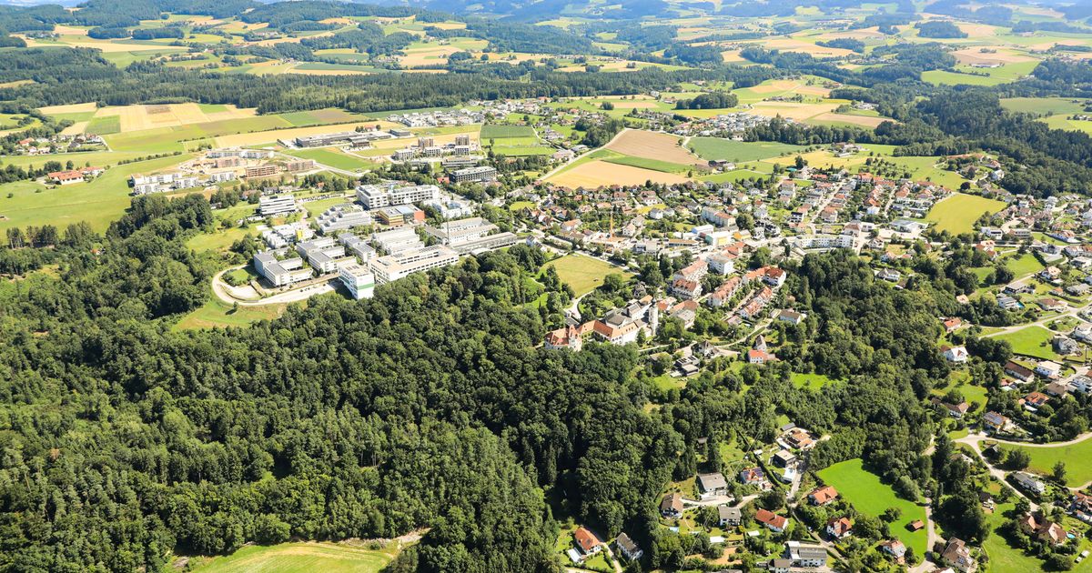 Wings for Life - Hagenberg I.m. Freistadt
