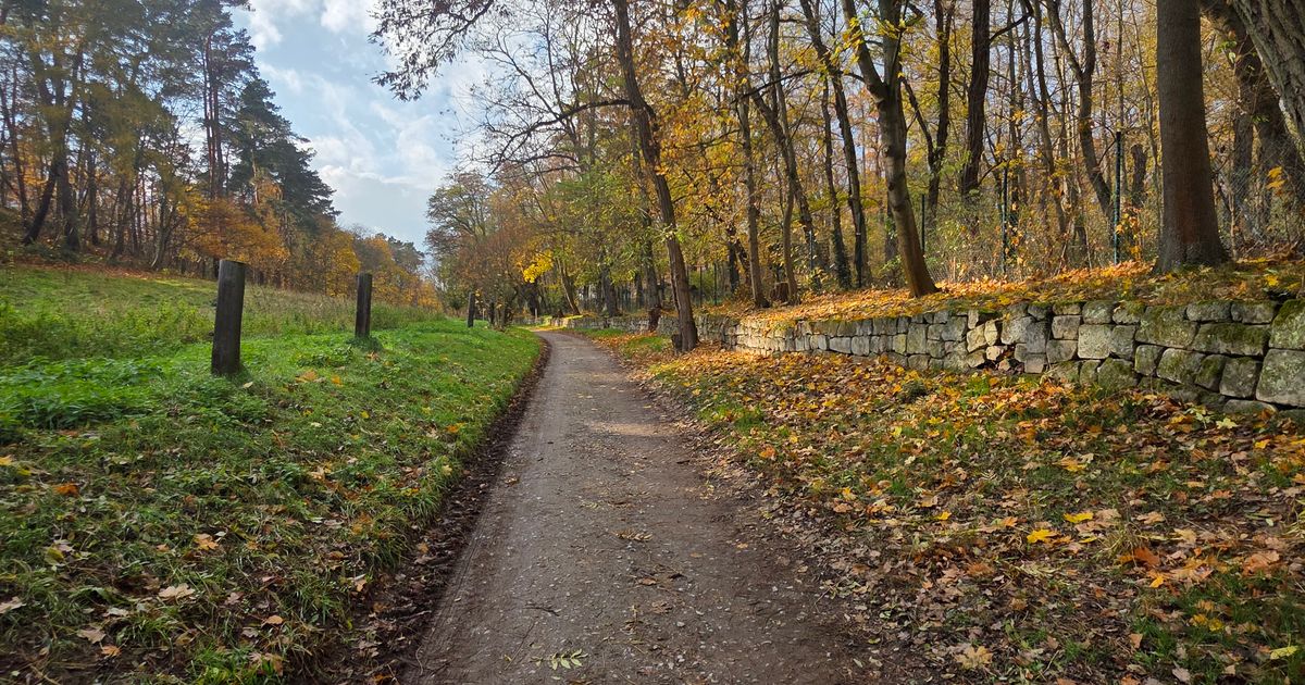 Wings for Life - Halberstadt