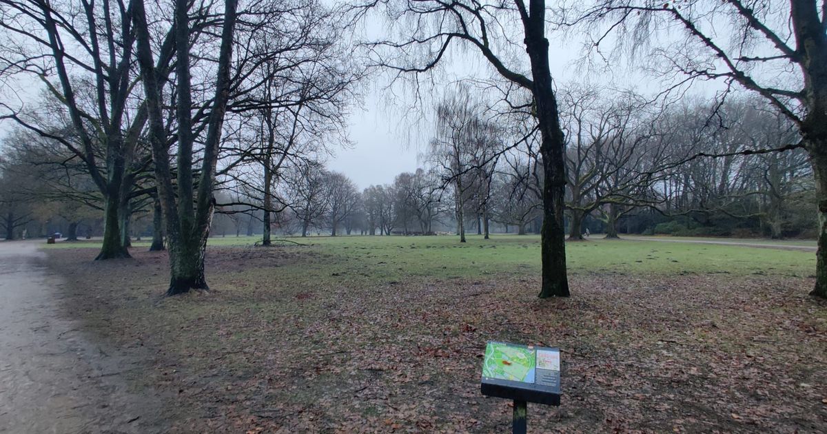 Wings for Life - Hamburg Hamburg-Nord