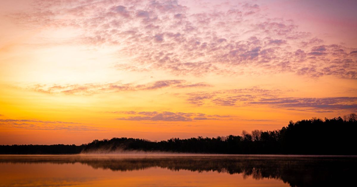 Wings for Life World Run Hannover Altwarmbüchen