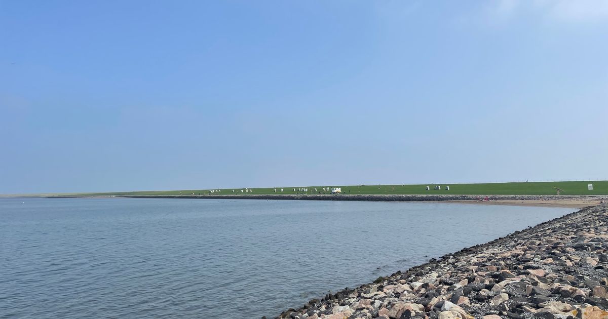 Wings for Life - Hattstedt