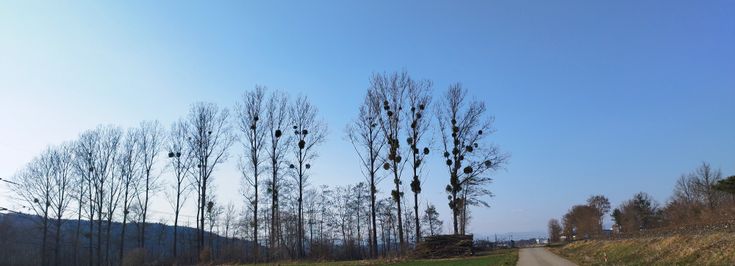 Hofstätten a. d. Raab Weiz - 1