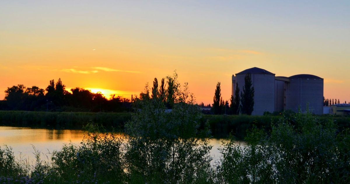 Wings for Life World Run Hohenau an der March