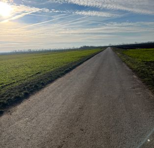 Hohenau an der March - 2