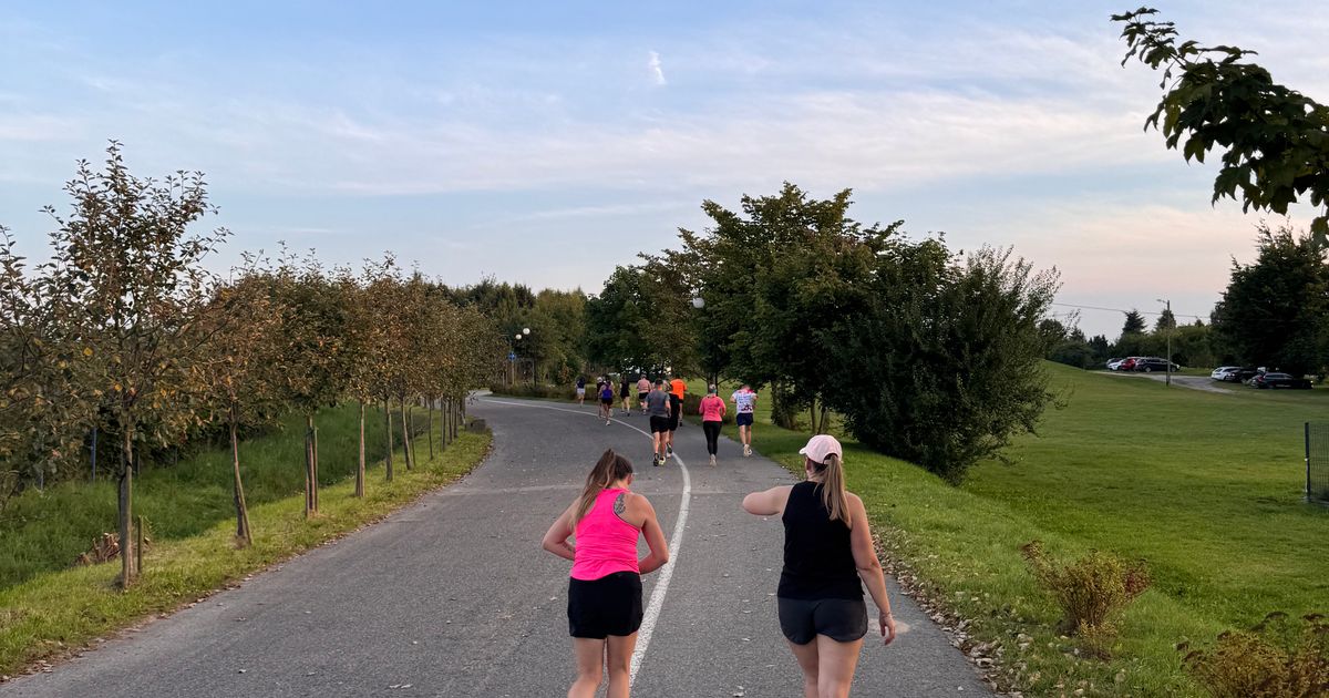 Wings for Life - Kosakowo