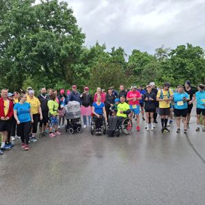 Krems an der Donau Krems