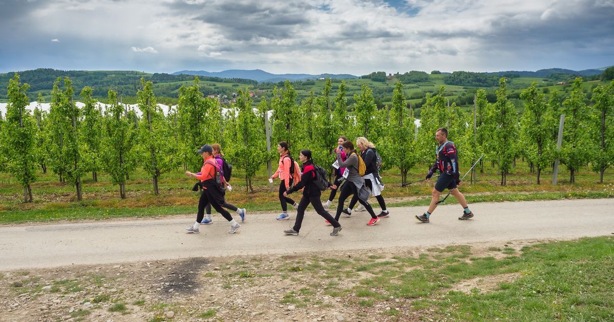 Wings for Life - Łącko