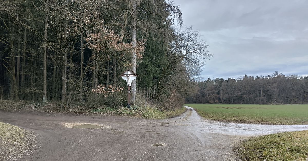 Wings for Life - Lappersdorf