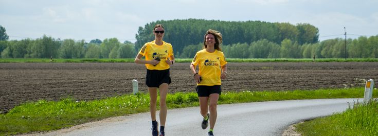 Lievegem Lovendegem - 1